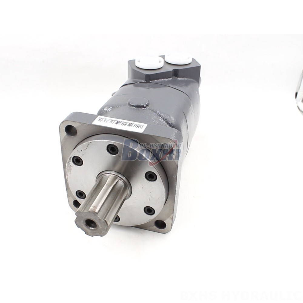BM6 Cycloid Hydraulic Motor OEM/ODM Services: 195 cc/r, 150 Lpm main image
